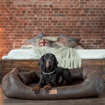 Ein schwarzer und brauner Hund, der auf einem plüschigen, braunen Haustierbett in einem gemütlichen Raum mit einer Ziegelwand ruht, mit einem Bett mit einer grünen Decke und dekorativen Kissen.