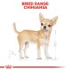 Illustration of a Chihuahua dog with a light tan coat, labeled "BREED RANGE: CHIHUAHUA" in bold red text at the top.