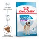 Torba z karmą dla psów Royal Canin Junior Giant z bernardynem, podkreślająca wsparcie odporności, wzrost mięśni i odpowiedni rozmiar krokietów.