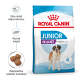 Torba z karmą dla psów Royal Canin Junior Giant z bernardynem, podkreślająca wsparcie odporności, wzrost mięśni i odpowiedni rozmiar krokietów.