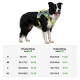 Schwarz-weißer Border Collie trägt neongrünes Geschirr über einer Größentabelle mit Brust cm/Zoll und Halsumfang cm/Zoll für die Größen S, M, L, XL