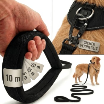 Schwarze Hundetraining-Leine mit einem Karabinerclip, mit einem roten "Safety First"-Tag und Größenoptionen: 5mm, 10mm, 15mm, 20mm.
