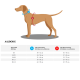 Illustration eines grauen Hundes, der ein braunes Geschirr trägt, das das Design und die Passform des Geschirrs zeigt.