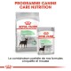 Emballage de nourriture pour chiens Royal Canin Digestive Care, présentant un sac étiqueté "MINI" et un sachet étiqueté "ALL SIZES," promouvant une meilleure qualité de selles.