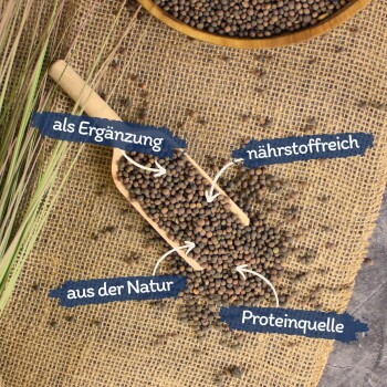 Hundetrockenfutterpellets in einer Holzschaufel auf Jute, mit Textetiketten: 'als Ergänzung', 'nährstoffreich', 'aus der Natur', 'Proteinquelle'.