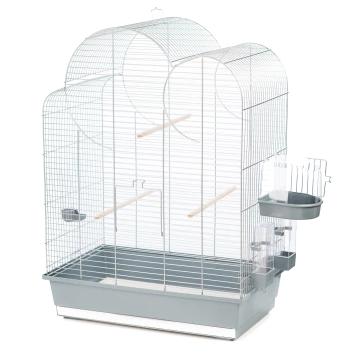 A spacious, silver metal birdcage with two rounded tops, featuring two wooden perches, a feeding dish, and a removable bottom tray.