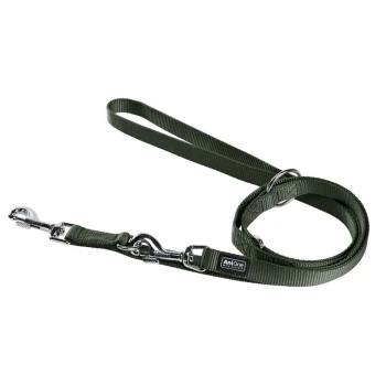 Grüne Nylon-Hundeleine mit Metallclips und einer Schlaufe, mit einem 'AniOne'-Logoschild.