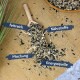 Holzlöffel, der eine Mischung aus Vogelfutter auf Sackleinen verschüttet, mit einer Schale; deutsche Etiketten: 'fettreich', 'Nährstoffe', 'Mischung', 'Energiequelle'.