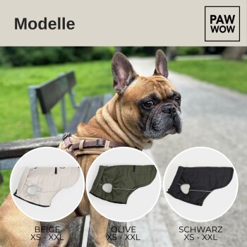 Ein Französischer Bulldogge trägt ein Geschirr, mit drei Hundemantel-Optionen angezeigt: beige, oliv und schwarz, beschriftet mit den Größen XS bis XXL.