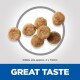 Image of round pet food kibble pieces, approximately 4 x 7.5mm in size, with the text "GREAT TASTE" prominently displayed below.