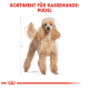 Illustration eines Pudelhundes mit flauschigem, hellbraunem Fell, begleitet von dem Text "SORTIMENT FÜR RASSEHUNDE: PUDEL" oben.