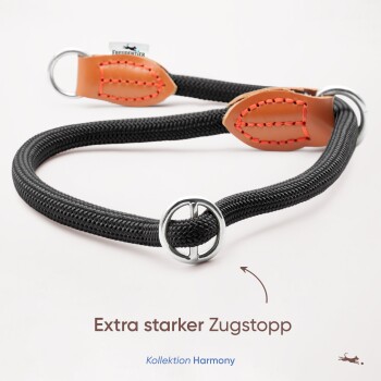 Schwarze Hundeleine mit Lederakzenten und Metallringen, beschriftet mit "Extra starker Zugstopp" aus der "Kollektion Harmony."