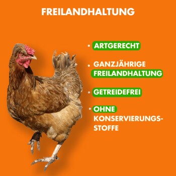 Eine braune Henne auf einem orangefarbenen Hintergrund mit Text: "FREILANDHALTUNG", "ARTGERECHT", "GETREIDEFREI", "OHNE KONSERVIERUNGSSTOFFE."