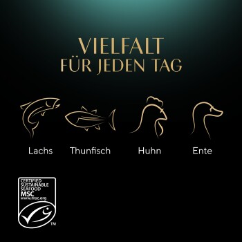 Das Bild zeigt goldene Linienikonen von Lachs, Thunfisch, Huhn und Ente mit dem Text "VIELFALT FÜR JEDEN TAG" darüber.