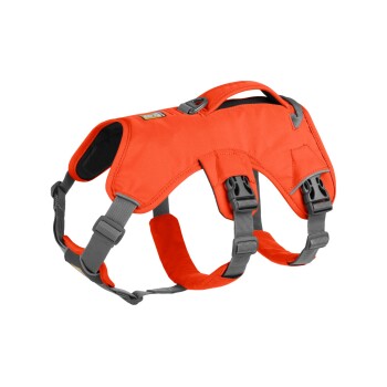 Web Master™ Geschirr orange XS