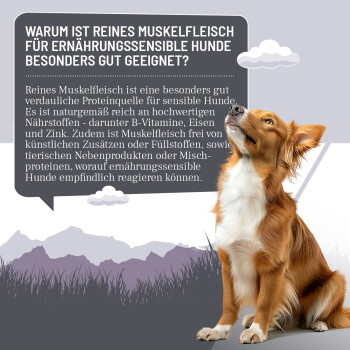 Dosen mit hypoallergenem reinem Muskelfleisch-Hundefutter für empfindliche Hunde, beschriftet mit Hirsch, Wildschwein, Ziege, Kaninchen, Ente, Pferd, Rind.