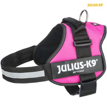 Julius-K9® Powergeschirr® Gr. 0-3 fuchsia L