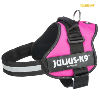 Ein leuchtend pinker Julius-K9 IDC Power Hundegeschirr mit einem schwarzen Riemen und reflektierenden Details, mit einem metallischen D-Ring zur Leinenbefestigung.