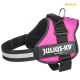 Ein leuchtend pinker Julius-K9 IDC Power Hundegeschirr mit einem schwarzen Riemen und reflektierenden Details, mit einem metallischen D-Ring zur Leinenbefestigung.