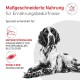 Schwarz-weißer Spaniel liegend mit deutschen Beschriftungen ‚Maßgeschneiderte Nahrung‘ und ‚Erhalt der Muskelmasse‘, Veterinary Nutrition-Logo