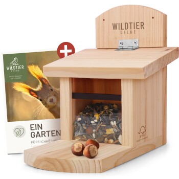 Eichhörnchen Futterhaus