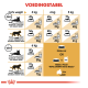 Infographic 'Voedingsstabel' toont dagelijkse voedingsrichtlijnen voor katten op basis van gewicht, voor zowel sedentaire als actieve levensstijlen.