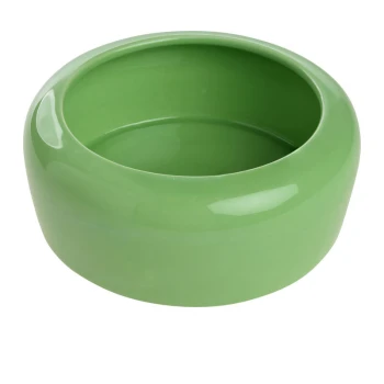 Small Animal Bowl green 500 ml Green ceramic pet food bowl with a smooth, glossy finish, featuring a rounded design and wide opening.