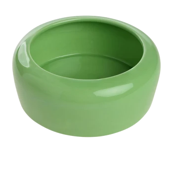 Grüner keramischer Futternapf für Haustiere mit einer glatten, glänzenden Oberfläche, mit einem abgerundeten Design und weitem Öffnung.