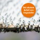 Nahaufnahme zahlreicher kleiner Insekten mit transparenten Flügeln auf einer Oberfläche, mit einem orangefarbenen Kreis und dem Text "Bei akutem Befall von Ungeziefer."