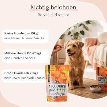 Eine Frau hält einen Beagle im Freien, umgeben von Grün, mit Sprechblasen, die Produktmerkmale und Vorteile hervorheben.