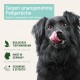 Ein schwarzer Hund, der sich die Lippen leckt, mit Text, der "Gegen unangenehme Fellgerüche", "Hergestellt in Deutschland" und "Biologisch wirksam" angibt.