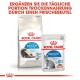 Royal Canin Verpackung mit "Home Life Indoor Long Hair" Hundefutter und "Indoor Sterilised" Katzenfutter, plus einem Text über die tägliche Fütterung.