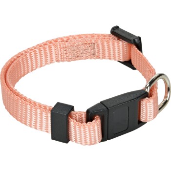 Collier pour chat Junior abricot