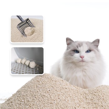 Eine flauschige weiße Katze mit blauen Augen sitzt vor einem Haufen Katzenstreu, mit Bildern einer Schaufel und Klumpen von Streu darüber.