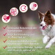 Braun-weißer Hund, der auf Gras läuft, mit deutschem Text, der die Vorteile natürlicher Kräuterextrakte für die Gesundheit von Haustieren auflistet.