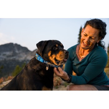 Eine Nahaufnahme eines Rottweilers, der ein blaues Halsband mit einem Anhänger trägt, neben einer Person in einem grünen Shirt sitzt, vor einer Berglandschaft.