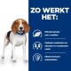 Een beagle op een blauwe achtergrond met tekst over huisdier voeding: 'L-carnitine,' 'oplosbare en onoplosbare vezels,' en 'klinisch bewezen antioxidanten.'
