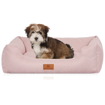 Flauschiger braun-weißer Welpe sitzt in einem rosa rechteckigen Hundebett mit Lederetikett mit der Aufschrift 'KNUFFELWUFF'