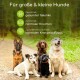 Bild von fünf Hunden verschiedener Rassen auf einem Waldweg, mit Text, der die Gelenkgesundheit, normale Knochen und Knorpelunterstützung für Hunde fördert.