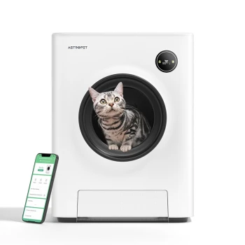 Eine neugierige getigerte Katze, die aus einer modernen weißen Haustierwaschmaschine schaut, mit einem Smartphone, das eine Haustierpflege-App daneben zeigt.