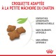 Croquettes pour chaton en forme d'étoile, avec un texte indiquant qu'elles contiennent des antioxydants naturels, sans colorants ni arômes artificiels.