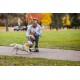 Eine Person kniet auf einem Skateboard in einem Park und hält eine Leine, die an einem verspielten Hund mit einem bunten Geschirr befestigt ist, umgeben von herbstlichem Laub.