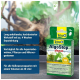 Tetra AlgoStop Verpackung für die Algenkontrolle im Aquarium, die langanhaltende Wirkungen und Eignung für Süßwassertanks über 40 Liter hervorhebt.
