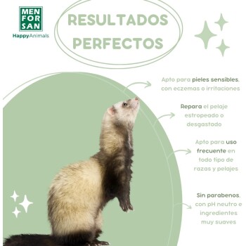 Ein Frettchen steht aufrecht vor einem hellgrünen Hintergrund mit dem Text: "Resultados Perfectos" für empfindliche Haut, repariert das Fell, sicher und parabenfrei.