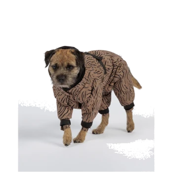 Kleiner struppiger brauner Hund trägt einen braunen, zebra-gestreiften Ganzkörpermantel mit schwarzen Bündchen und Kapuze vor weißem Hintergrund.
