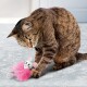 Eine verspielte getigerte Katze spielt mit einer plüschigen Spielzeugmaus, die einen pinken Tutu trägt, vor einem hellen Boden.