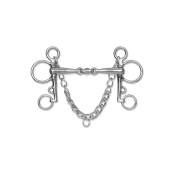 Ein silberner doppelt gelenkiger Pferdegebiss mit einer Kette, mit zwei Ringen auf jeder Seite zur Befestigung der Zügel.