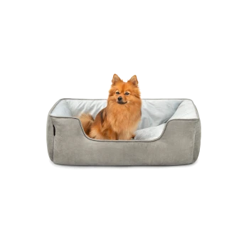Ein flauschiger orangefarbener Pomeranian sitzt bequem in einem weichen, grauen Hundebett mit einem hellblauen Innenraum.