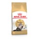 Royal Canin Adult Persian Katzenfutterbeutel mit einer Illustration einer langhaarigen Perserkatze, mit einem Text, der die rassespezifische Ernährung hervorhebt.