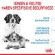 Bild von zwei Hunden mit Text zu ihren Bedürfnissen: "Hündin & Welpen haben spezifische Bedürfnisse," detailliert Energie-, Immun- und Verdauungsempfindlichkeiten.